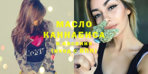 гидра Вяземский