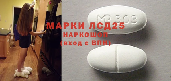 гидра Вяземский