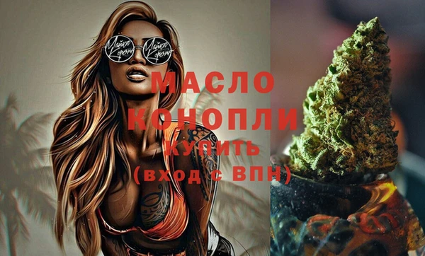 гидра Вяземский