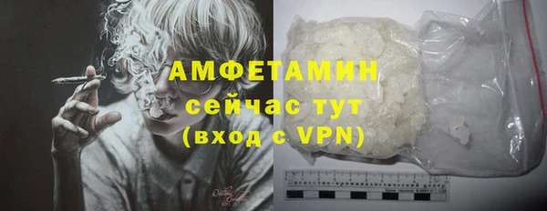 гидра Вяземский