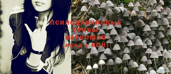 тгк Вязьма