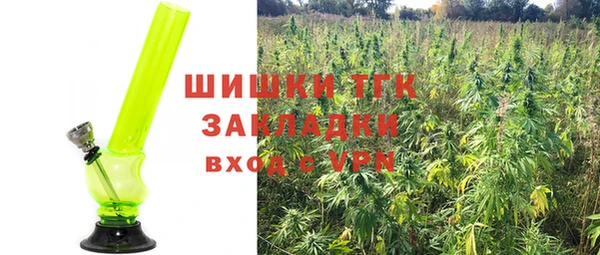 гидра Вяземский