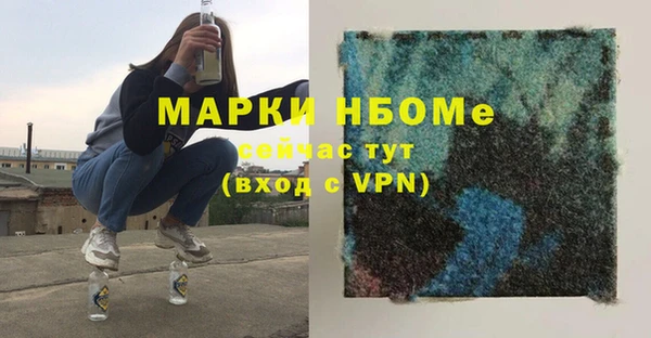 гидра Вяземский