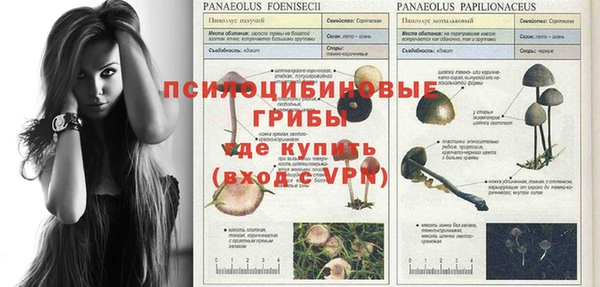 гидра Вяземский