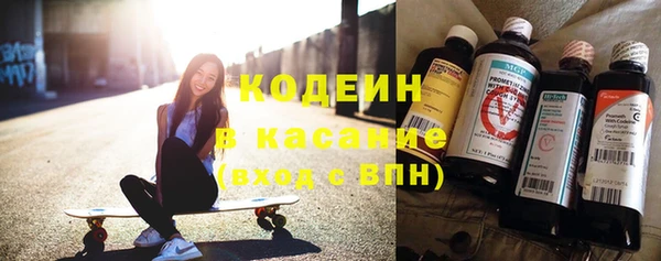 гидра Вяземский