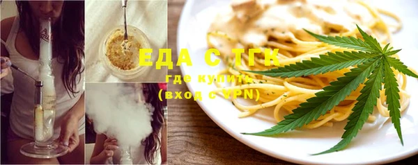 гидра Вяземский